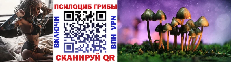 Псилоцибиновые грибы Psilocybe  как найти   Прокопьевск 